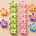 Pinza fermacapelli 6pz plastica fiore