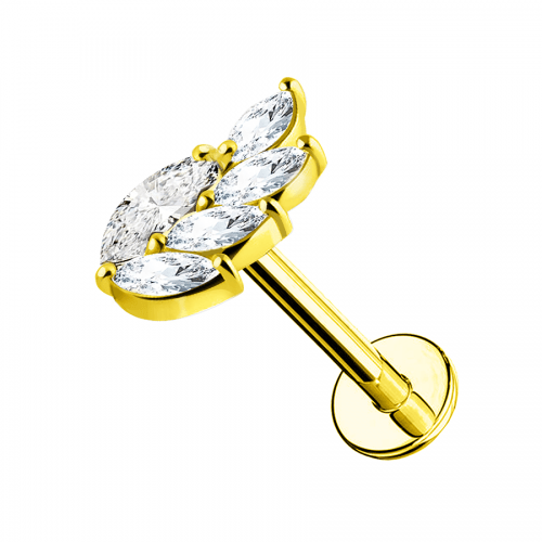 Helix acciaio