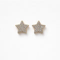 Orecchini lobo acciaio stelle strass
