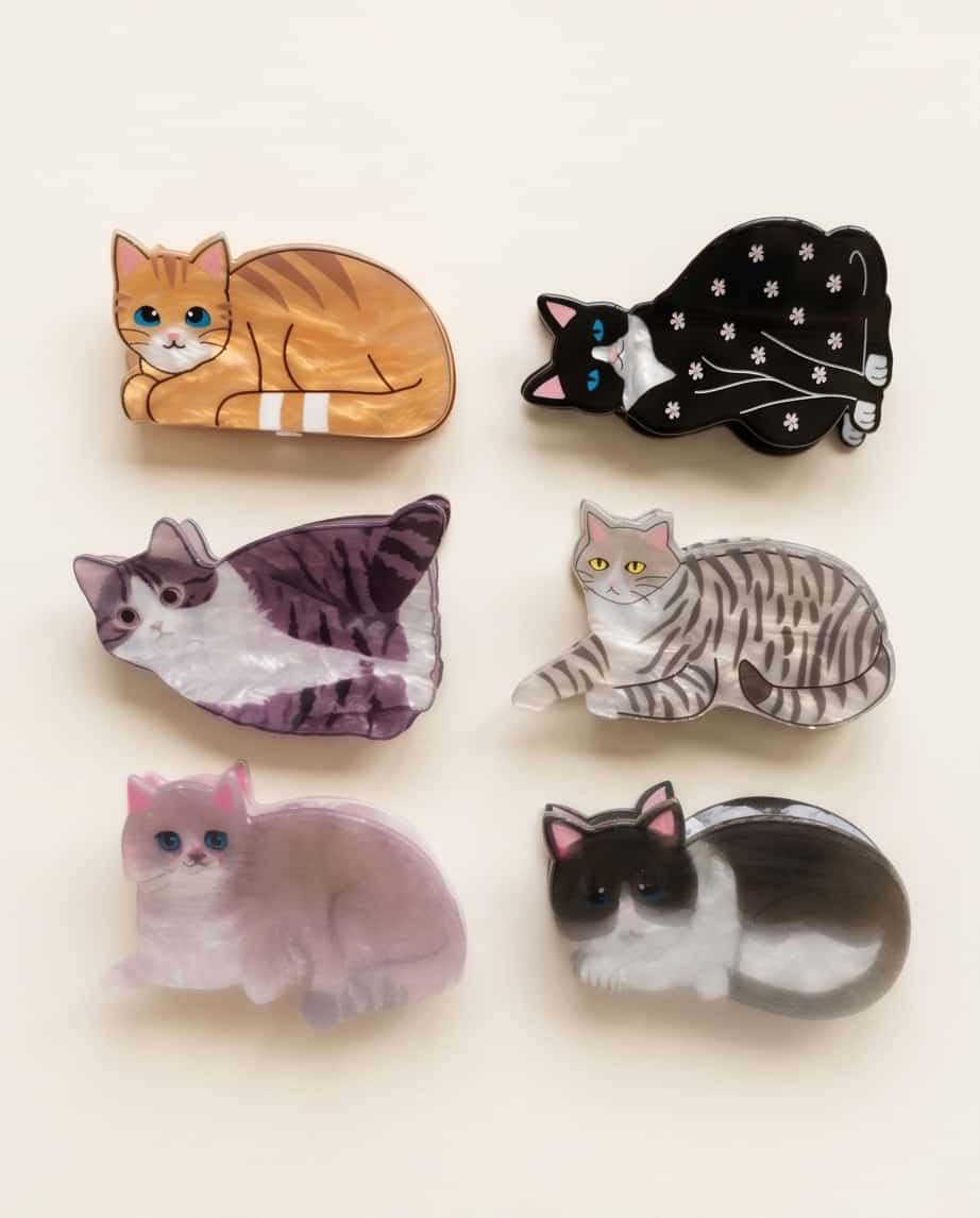 Pinza fermacapelli lastra gatti 6pz