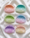 Pinza fermacapelli conchiglie 7cm 6pz assortiti