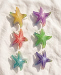 Pinza fermacapelli stelle marine 7.5cm 6pz assortiti