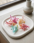 Pinza fermacapelli conchiglia 9cm 6pz assortiti