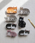 Pinza fermacapelli lastra gatti (6pz)